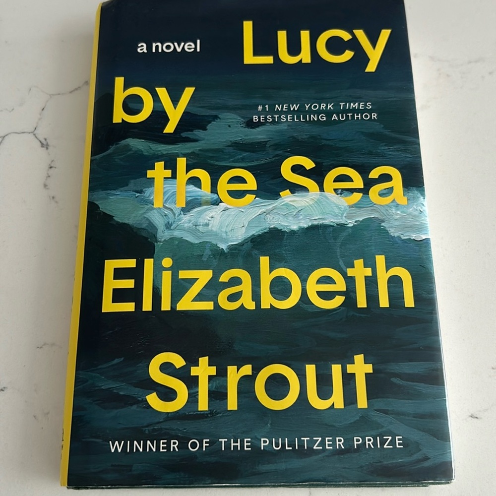 Ally by the Sea Novel